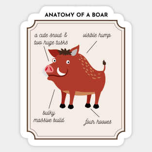 Anatomy of a Boar Sticker